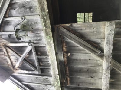 Shed